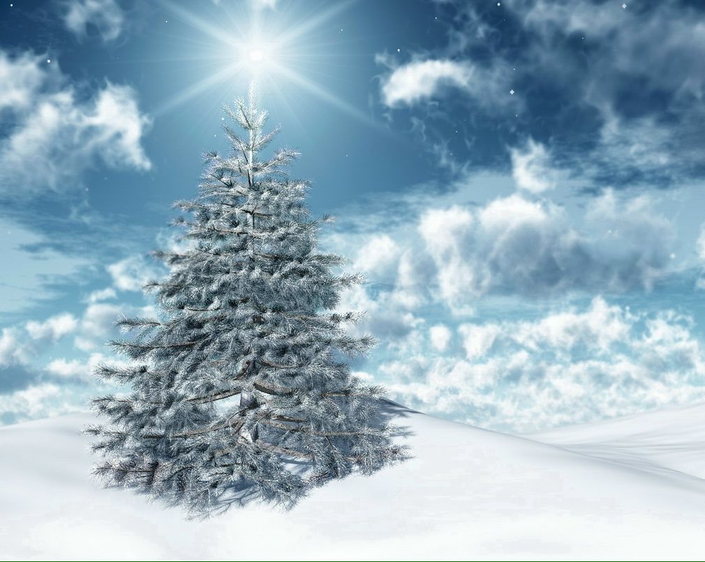 Тома Никоненко фотография #44