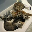 Олєг Яроцький фотография #14 (источник - https://vk.com/id153671737)