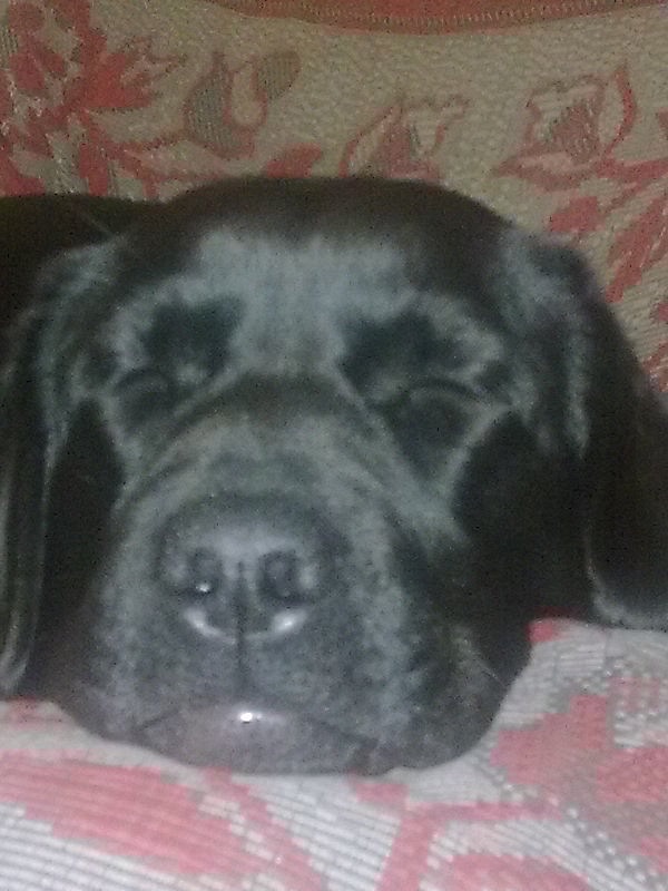 Андрей Студнев фотография #42