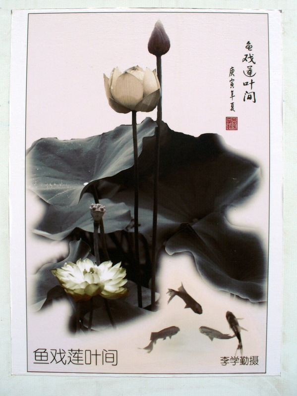 Gera Farosov фотография #31