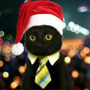 Фотография Крипера Романа