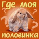 Андрій Проценко фотография #3 (источник - https://vk.com/id134828931)