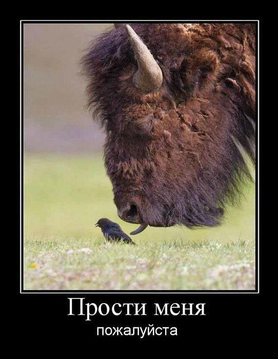Иван Пуртов фотография #47