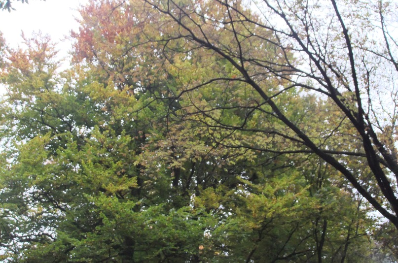 Сергей Кравченко фотография #40