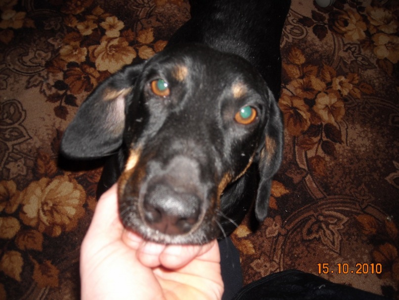 Александр Евсееев фотография #17