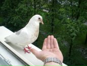 Фотография Gromov Leonid