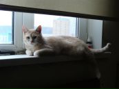 Любовь Ты фотография #24 (источник - https://vk.com/id4773390)