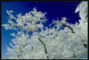 Вадім Сафроненко фотография #1