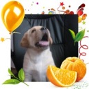 Фотография Сухочевой Татьяны