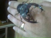 Юрій Іванович фотография #29 (источник - https://vk.com/id117176320)