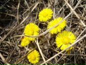 Фотография Кузнецовой Надежды