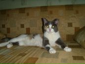 Фотография Загребиной Алены