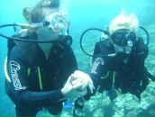 Елена Варваркина фотография #29 (источник - https://vk.com/id9526766)