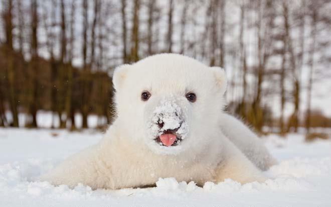 Игорь Будник фотография #43