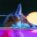 Фотография Махова Виталия