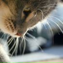 Фотография Козловой Анны