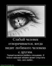 Іра Сiдорчук фотография #32 (источник - https://vk.com/id27743744)