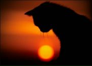 Фотография Богдановой Наталии