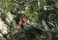 Фотография Шерстенниковой Марии