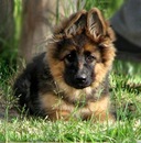 Каміла Юдицька фотография #35 (источник - https://vk.com/id134060787)