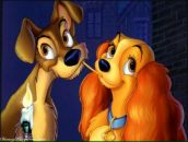 Фотография Новиковой Анастасии