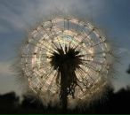 Василіса Катеринчук фотография #20 (источник - https://vk.com/id30568558)