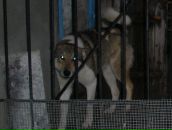 Костя Кисилюк фотография #35 (источник - https://vk.com/id68580273)