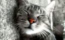 Фотография Игнатчика Михаила