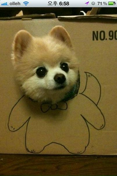 Чан Ch фото №49