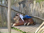 Фотография Параделы Нади