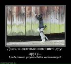 Серега Апілат фотография #17 (источник - https://vk.com/id29340156)