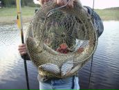 Фотография Андреева Алексея