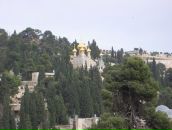 Фотография Дорогавцевой Дарьи