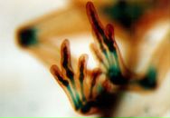 Антон Филь фотография #15 (источник - https://vk.com/id1657549)