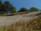 Максим Арістов фотография #37 (источник - https://vk.com/id59895866)