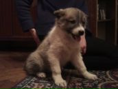 Іра Столяр фотография #28 (источник - https://vk.com/id33375136)