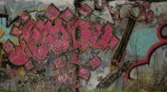 Фотография Индейкина Павла