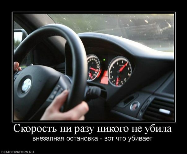 №6, Николай Савенков, 36 лет, Оренбург №6, Николай Савенков, 36 лет, Оренбург