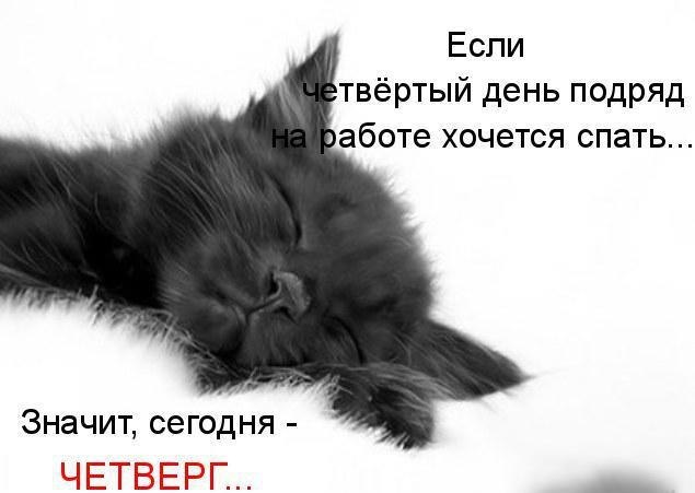 Вяче Слав фотография #9