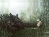 Фотография Захарова Павла