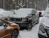 Andrei Ilyushenko фотография #22 (источник - https://vk.com/id510574)