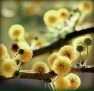 Фотография Жижко Натальи