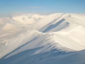 Фотография Коновалова Татьяна