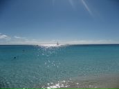 Фотография Морозовы Алены