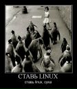 Фотография Садикова Анна