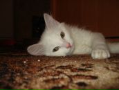 Фотография Малиной Надежды