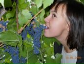 Фотография Гусаковой Оксаны