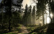 Фотография Жиркова Никиты