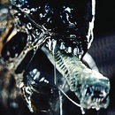 Фотография Головнева Стаса