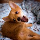 Фотография Рудневой Лидии